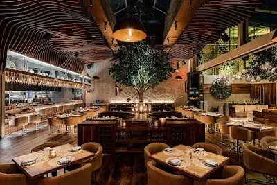 Toca Madera Scottsdale