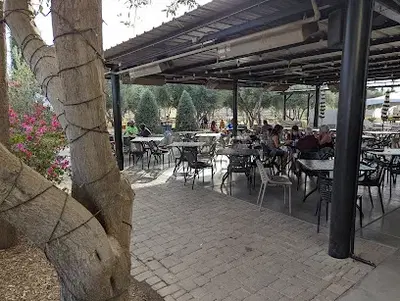 Queen Creek Olive Mill