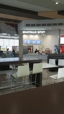 The Buffalo Spot