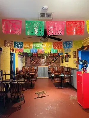 Ama’s taqueria y cocina