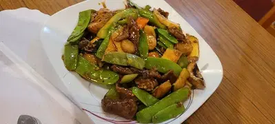 New Golden Wok Restaurant (Vision Dumpling)