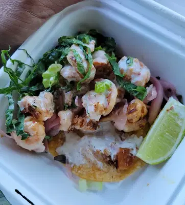 Tacolicious
