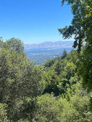 Saratoga