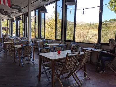 Broad Street Oyster Company