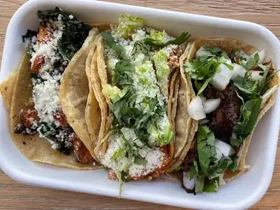 Tacolicious