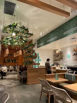 Tocaya Modern Mexican
