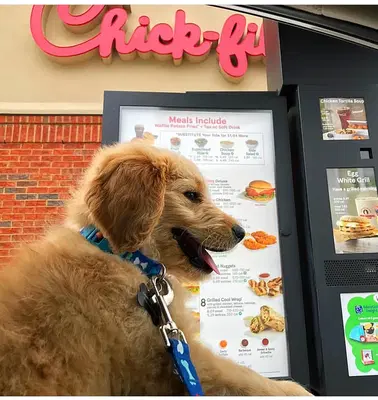 Business Photo