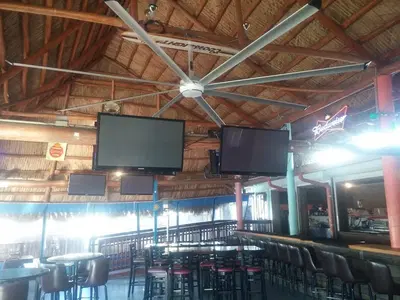 Nauti Parrot Tiki Hut