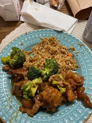 Dragon Village Asian Café