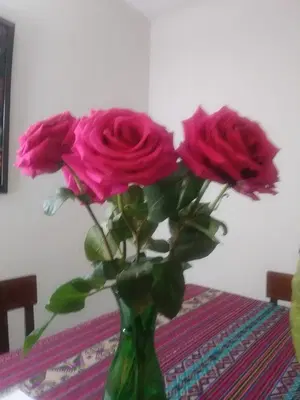 Taqueria Rosita#2
