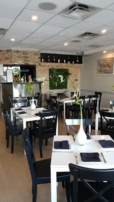 Sr. Ceviche Aventura