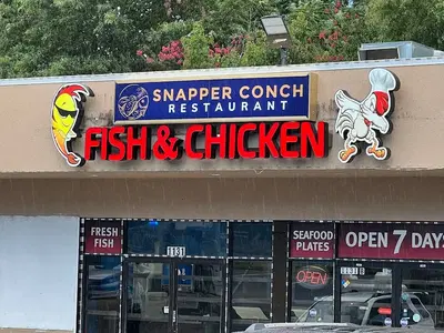 Snapper Conch