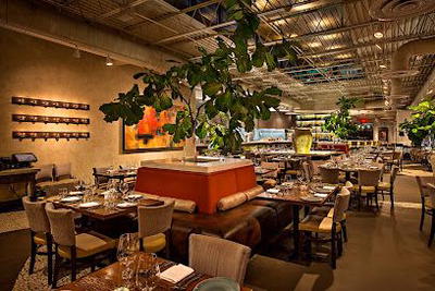 Rumi's Kitchen Sandy Springs