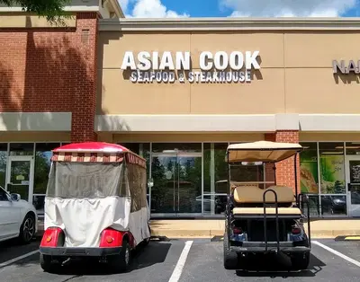 Asian Cook