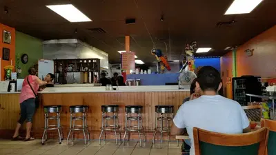 Tacos Y Salsa