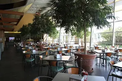The Patio - Orland Park