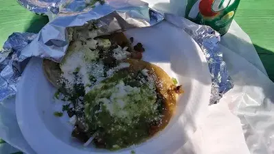 Pollo Veloz Carbonico