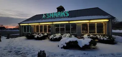 Sharks fish and Chicken