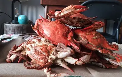 Liberty Seafood