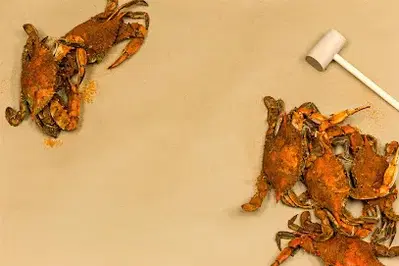 Little Lou's Seafood & Catering