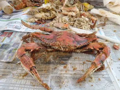 Salty Dog's Crab House Inc