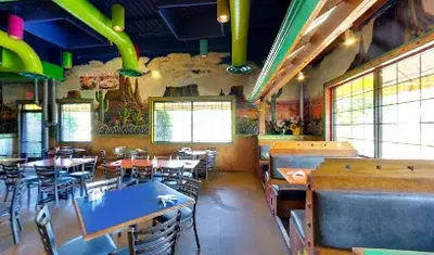 Salty Iguana - Independence