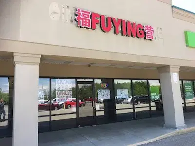 Fu Ying