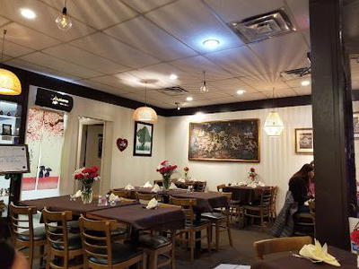 Asiana Thai and Sushi of Hyde Park
