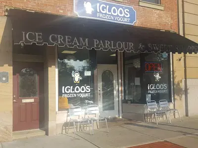 Igloo Frozen Yogurt and Treats