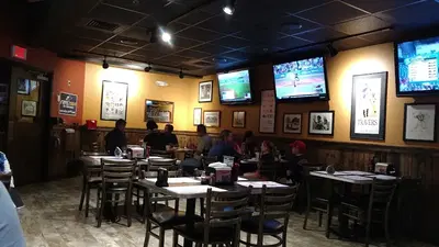 Winking Lizard Copley