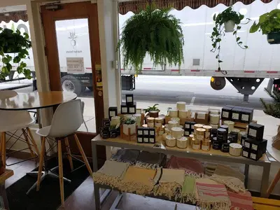 Harvest Market