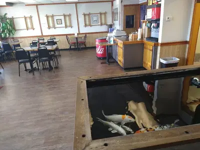 Teriyaki Land