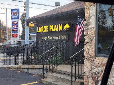 Large Plain Pizza and Pints