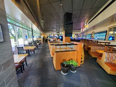 Bluefin Sushi & Thai