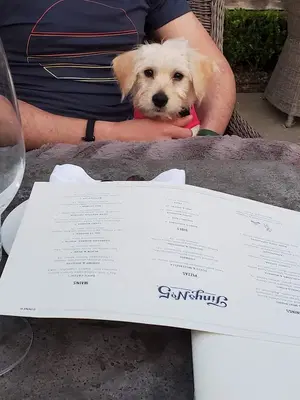 Business Photo
