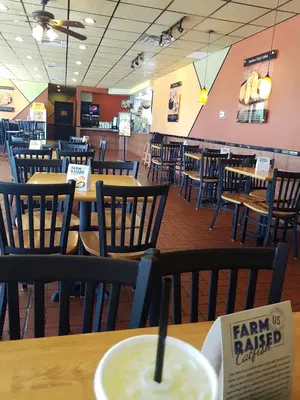 Golden Chick