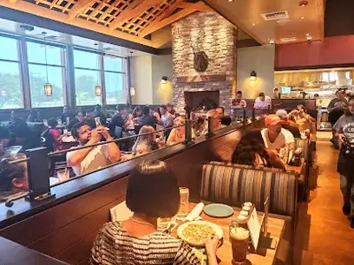 Lazy Dog Restaurant & Bar