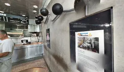 Kopp's Frozen Custard